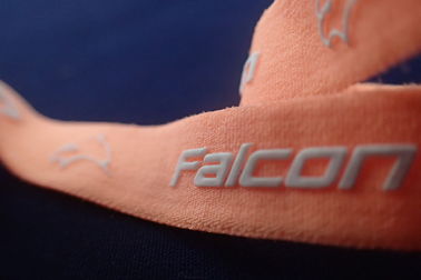 Faixa elástica tecida amigável de Eco da correia do Spandex para o roupa interior/calças