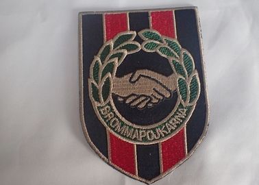Costurar o ferro em remendos bordados costume do bordado da roupa 3d
