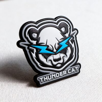 Patches personalizados de roupas combinando etiquetas de transferência 3D de silicone e bordados para decoração de roupas única e durável